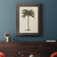 «AU CH British Palms IV», reproduction sur toile encadrée-73984667