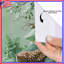 Rideaux de douche Deer In Lush Forest-704301167
