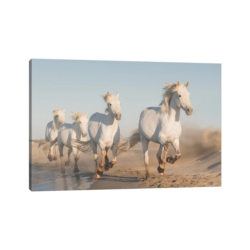 White Angels Of Camargue XXXVII by Daniel Kordan - Print on Canvas, Wrapped Canvas, 20.32 cm H x 30.48 cm W