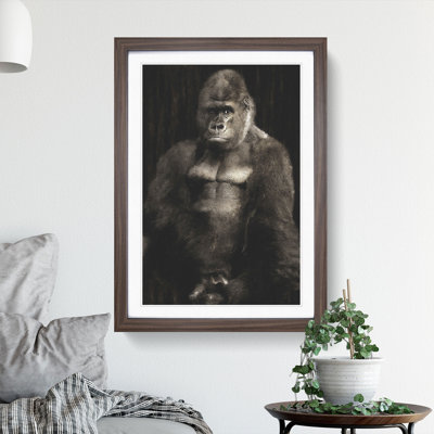 Silverback Gorilla Vol.2 - Framed Print