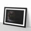 Black Cat with Yellow Eyes - Picture Frame Painting Print-56633753-56633748