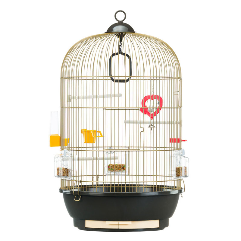 65cm Hanging Bird Cage with Perch, Gold/Black