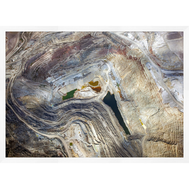 Earth Pattern 5 Print by Thom Filicia