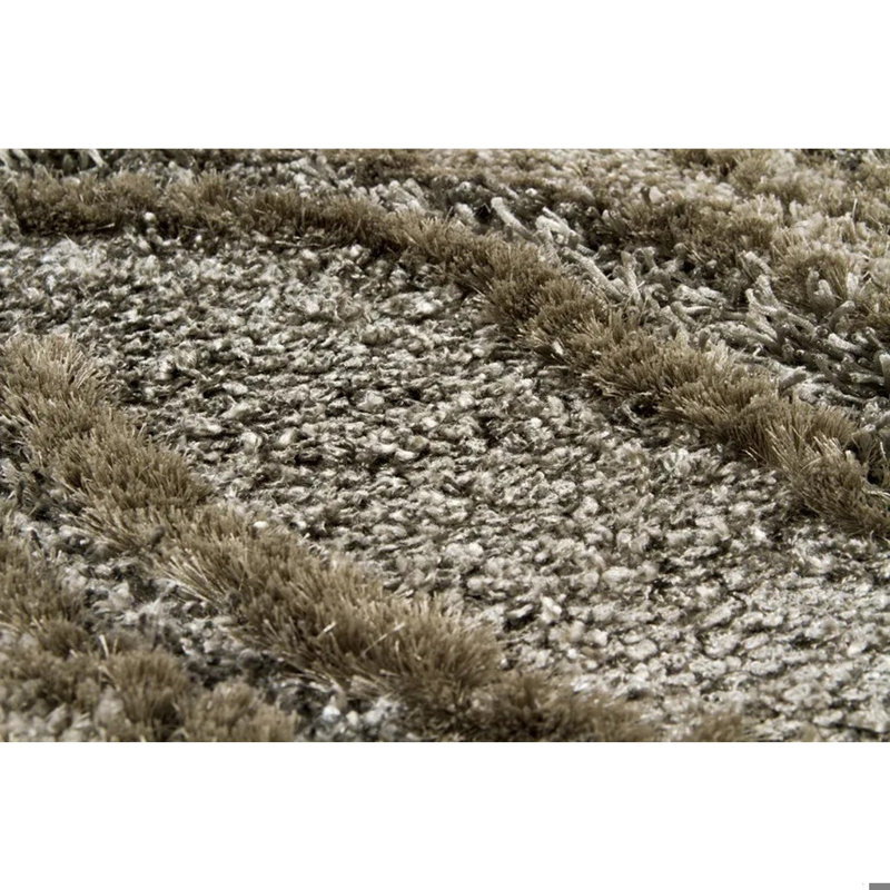Tapis brun/brun clair à poil long Taiquita, Rectangle 5 pi x 7 pi 6 po