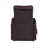 Ricardo Synthetic Leather Power Motion Recliner W/Lift