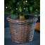 3' H Lighted Artificial Fir Christmas Tree