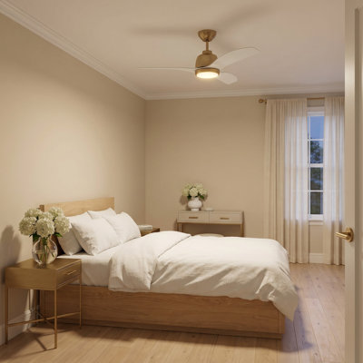 Ventilateur de plafond avec lumières DEL Aida