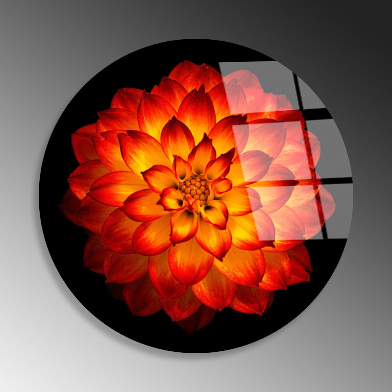 Boze Print on Glass
