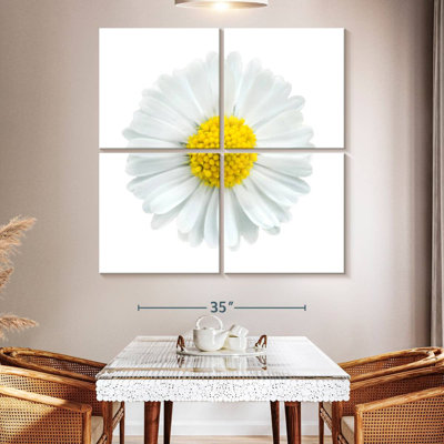 Harnek White Chamomile Flower