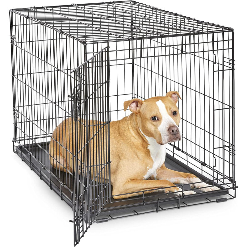 Cage pour chien New World, Moyen (H 25 po x l 23 po x P 36 po)