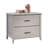 Ferebee 33.86'' Wide 2 -Drawer File Cabinet-1667079314