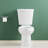White Elongated Two-Piece Toilet, Comfort ADA Height 17", Powerful 1.28 GPF Flush-126815984-126815985