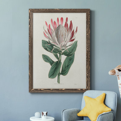 " Protea N13 " Painting Print