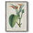 Turpin Tropical Botanicals II Framed Print - Solid Wood-777887840