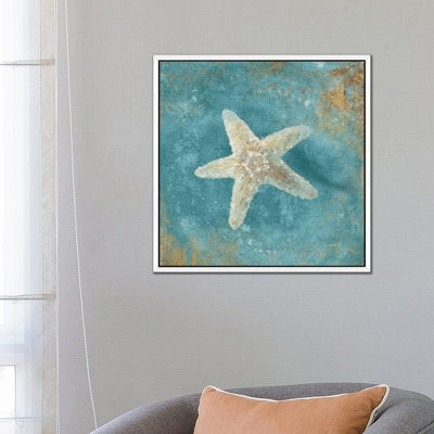 Treasures From The Sea IV by Danhui Nai - Wrapped Canvas Print