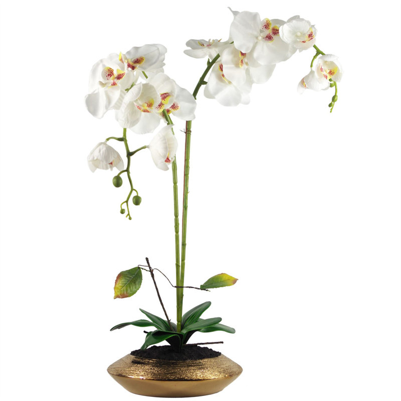 Fabric, Plastic, Faux Silk Artificial Arrangement in Planter, White