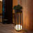 Xzayvian Plant Stand with LED Lights