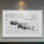 «Buffalos Two», reproduction de photo sur papier encadrée-443700389