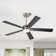 Portico 5 Blades Indoor Ceiling Fan with Light Kit and Remote