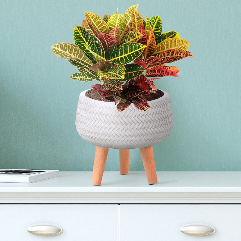 Plaited Style Bowl Planter with Feet, White, 26.5cm H x 32cm W x 32cm D