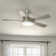 Airionna 56'' Ceiling Fan with LED Lights