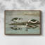 Vintage Animal XIX - impression-171266216-171266263