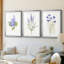 Lilas botanique délicat - impression encadrée sur mesure de qualité supérieure - 3 pièces-833592506-833592505