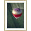 Balloon Over Vineyard 2 Print by Nathan Turner