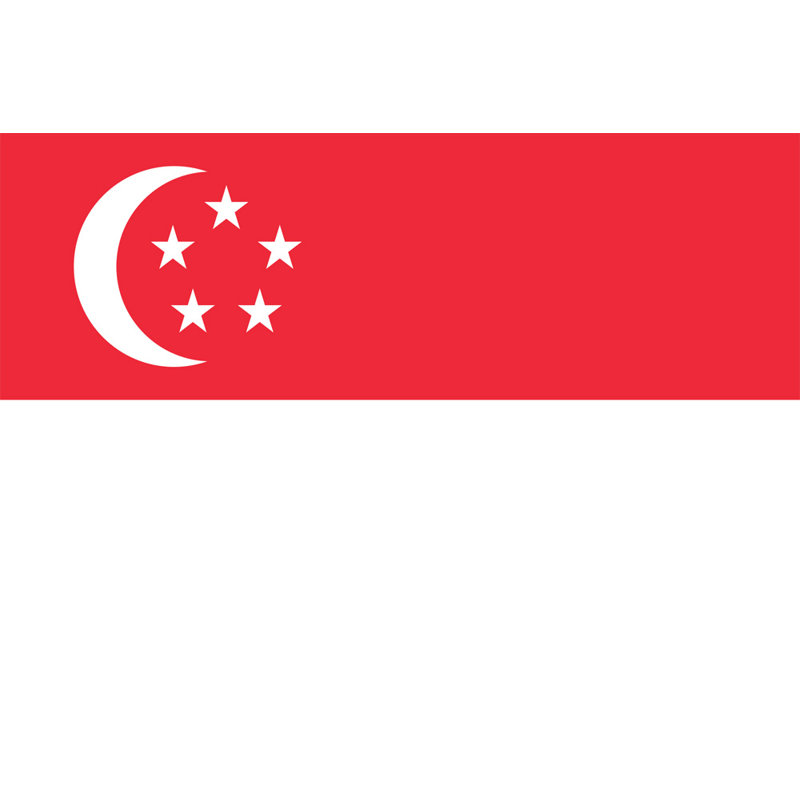 Singapour, H 16 po x l 24 po