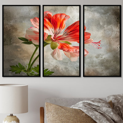 Rosner - Geraniums, ensemble de reproductions d'art mural