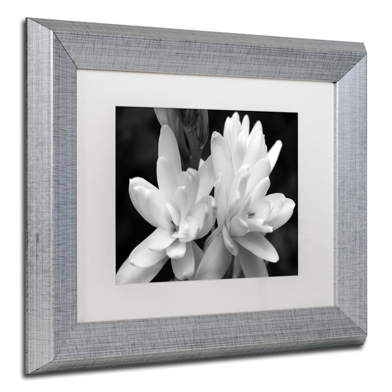« tubercules roses » en noir et blanc, reproduction de photo encadrée, H 11 po x l 14 po x P 0,5 po