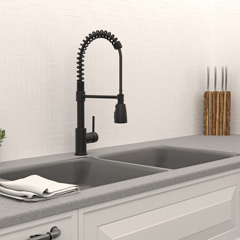 Keeney Professio Pull Down Kitchen Faucet, Matte Black