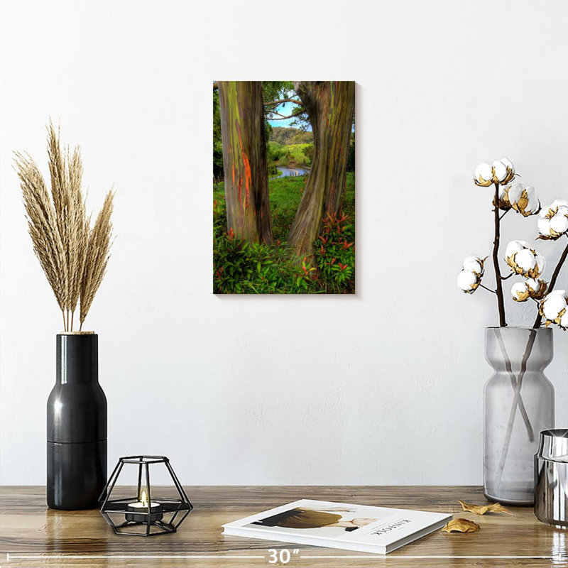 Harnek Roadside Rainbow Eucalyptus, 12" H x 8" W