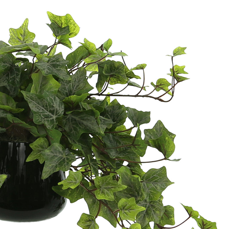 Jenner Faux Ivy Plant in Glass Vase, 13" H x 20" W x 20" D
