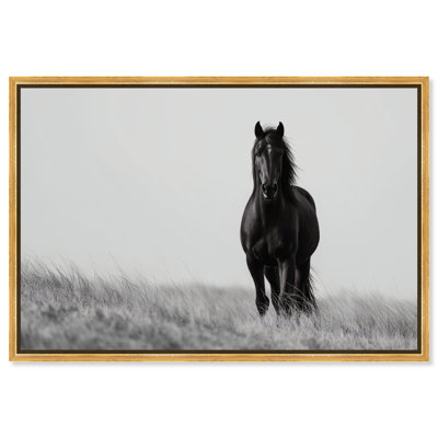 Lone Stallion I Print by Oliver Gal
