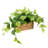 Artificial Fake Pothos Vine Plants Indoor
