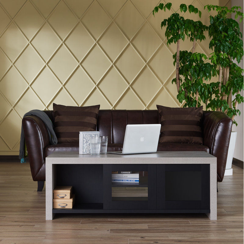 Solid Coffee Table with Storage, Black