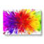 Rainbow Explosion In Abstract - Wrapped Canvas-55340854