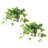 Faux Foliage Plant in Ceramic Pot-450843450-462439896