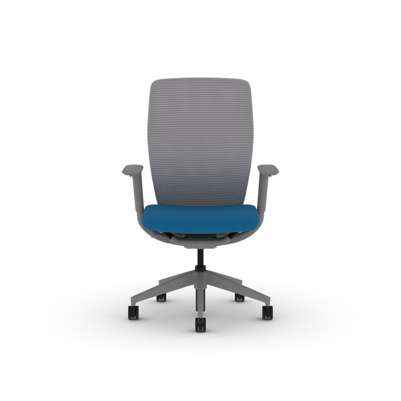 HON Flexion Mesh Ergonomic Office Chair, Titanium Frame, Peacock, Peacock, Titanium