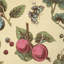 Berry Grove Fabric-350038664