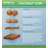 Kochi Mattress - Organic Latex Coconut Coir 6" Medium 2Layered Comfortable Sleep Bed Dust Free-112235043