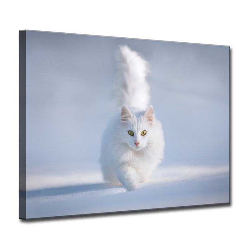 « yellow eyes », reproduction de photo sur toile tendue, H 12 po x l 16 po x P 1,5 po