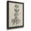 Antique Black & White Botanical III - reproduction d'art sur toile encadrée-218529559