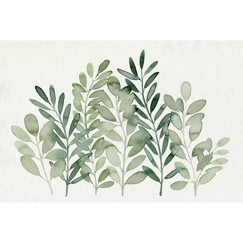 Foraged Greens I by Grace Popp - Wrapped Canvas Print, 30cm H x 46cm W x 3.8cm D