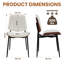 Chaise rembourrée Mid-Century avec pieds en métal-63716406-44407508