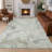 Machine Washable Indoor/Outdoor Chantille ACN2747 Paisley Rug-1996374770-1996374773