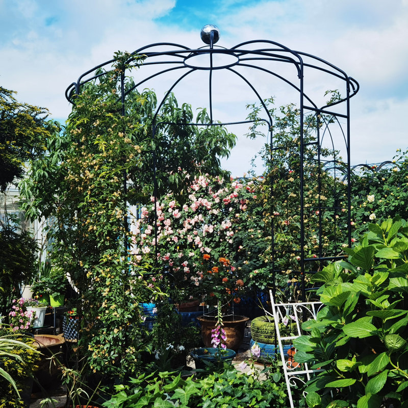 Pavillon de jardin en métal, Noir