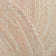 Casen Hand Woven Cotton Rug