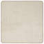 Area Rug-1867905694